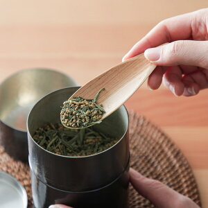  SALIU LOLO { R Xv[ ؐ Β g R[q[ eB[^C   eB[Xv[