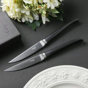 N`|[ Xe[LiCt Zbg RIB u 2{Zbg Jg[ ϔ  Mtg j v[g 蕨 Cutipol Jg[Zbg iCtZbg