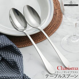 カリスマ テーブルスプーン サンドブラスト マット シルバー オールステンレス ピカード＆ヴィールプッツ ドイツ ディナースプーン 食事用スプーン 【メール便可】
