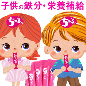 偏食 子供 幼稚園 栄養補助 サプリ 成長期 鉄分補給 【ちゅるっとサジー】 無添加 野菜不足 鉄分不足 栄養補給 集中力 好き嫌い こども アミノ酸 たんぱく質 サジージュース 幼児 小学生 中学生 部活 鉄分不足 健康食品 おやつ 健康サポート 家族