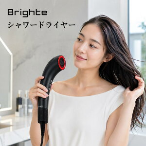 �y���Ԍ���I�|�C���g10�{�z�y���K�i�zBrighte SHOWER DRYER �u���C�g �V�����[�h���C���[ �i�m�~�X�g ������^�h���C���[ �啗�� �p���t�� ���y�� ���@�\ �����\