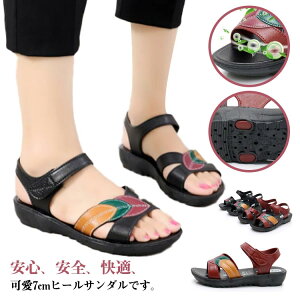 T_ fB[X ؂ y RtH[g NbV i[XT_ [q[ t  ₷  ɂȂ Ȃ  r[`T_ C t  ɂ JW