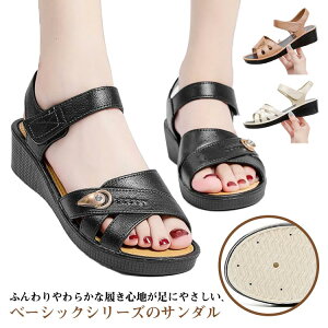 T_ fB[X ₷ i[XT_ ItBX ₷ RtH[gV[Y  C JWA ̓ v[g hV̓ Mtg RtH[gT_ ubN V[Y