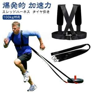 �X���b�h�n�[�l�X �^�C������ �X���b�h�n�[�l�X �g���[�j���O �؃g�� �p�b�h �����I ������ �x���g �X�g���b�v