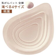乳がんパット 全摘 乳癌 人工乳房 乳がん用 ブラジャー パット バスト補正 軽量 フルカップ大 肩こり ボ…