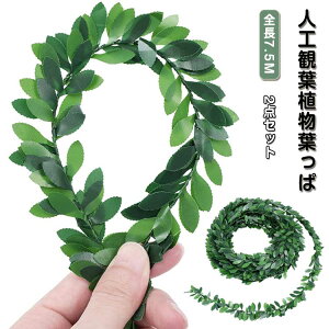 2_Zbg lHϗtA  t 7.5m ͂ȂA   CeA  DIY lHԗ ԗ֍ ΂̗t  ItBX x_ NX}X p[eB[  K[f  I 