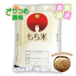 ߘa7NVY˂10kg(5kg×2)