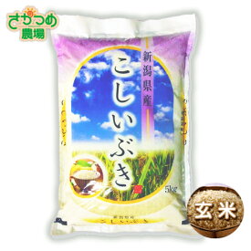 【新米入荷】令和7年新潟産こしいぶき玄米10kg(5kg×2)