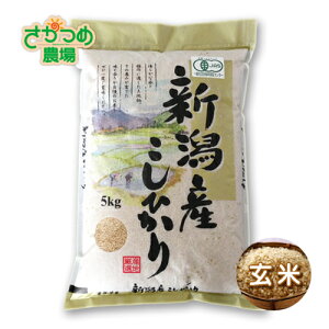 yVė\z10{I ߘa7NJASFؐVYL@͔|RVqJ20kg(5kg×4)