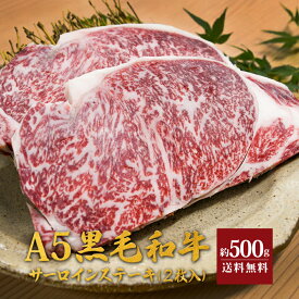 天草黒牛 黒毛和牛 サーロイン 約500g（2枚入）ステーキ A5 ギフト プレゼント 送料無料 冷凍 贈答 国産 国産牛 贈り物 お取り寄せ ステーキ 和牛 牛肉 肉 誕生日 御祝い お歳暮 父の日 母の日 お中元 御中元 天草 黒牛