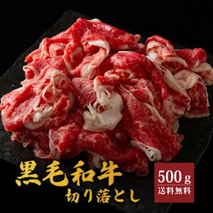 V ؂藎Ƃ 500g јa   e Y F{ 蕨  Mtg v[g Ⓚ ؗ  䒆   V  ؗƂ Ε Ε