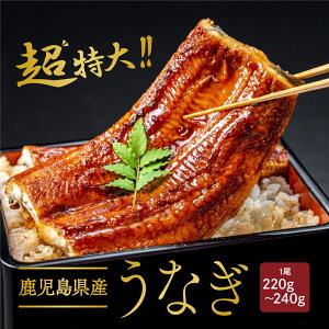 V 1 220`240g  Ⓚ  Y Mtg 񂹃O yp̉N̓ Ȃ EiM Y 蕨  v[g Ε Ε 䒆 