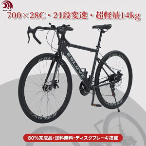 DOMIYA [hoCN ] 700 28c V}m21iϑ y A~t[  OfBXNu[L hbvnh tbgnh ʋ ʊw ] X|[c w A~t