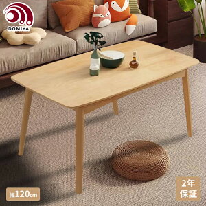 DOMIYA e[u _CjOe[u 4lp 2lp i` _CjO H He[u VR ȒPg  ؖ 100C ؐ  a Nۏ