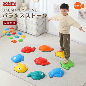 DOMIYA oXXg[ 12Zbg q ѐ ϑ oXѐ c ~ oXo  ^ ω׏d70kg ̊g[jO RpNg [ m ߋ V a 2