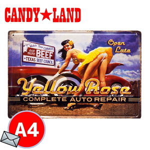 uLŔ 1000~|bL AeB[N ^v[g mYellow rose] Z123 Be[W sibvK[ AJG CeA cJx[X K[W