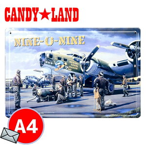 uLŔ 1000~|bL TCv[g AeB[N 퓬@ s@ K[W AJŔ G{XH ~^[ |X^[ G B-17G AJRqR oeBEx US ARMY vy