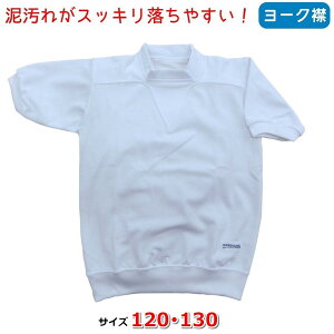 y2܂Ń[ցzhD̑ [N 120/130 jER[|[V