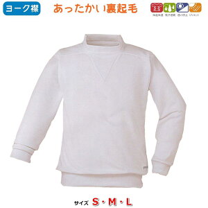 y1܂Ń[ցzNё̑  [N SEMELTCY jER[|[V ̑ w w