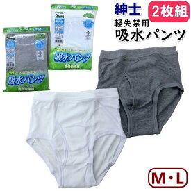 紳士用 軽失禁 失禁 尿もれ パンツ 吸水 20cc 薄型パッド 介護 外出 カタクラ キャロン ブリーフ 下着 男性 シニア 2枚組 M・Lサイズ 【1個までメール便可（再パッケージング致します）】