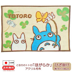 X^WIWu ƂȂ̃gg Ђ| ق炩 70×100cm Wu ObY uPbg G| ѕz