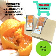 【送料無料ポスト投函】 奈良県西吉野産刀根早生柿使用 【とろあまあんぽ柿】お試し品 小サイズ 1パック3…