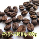 コーヒー豆 送料無料 お試し グァテマラSHB360g お買得セット 水・ソフトドリンク コーヒー レギュラーコーヒー 酸味少なめ・抜群の香り