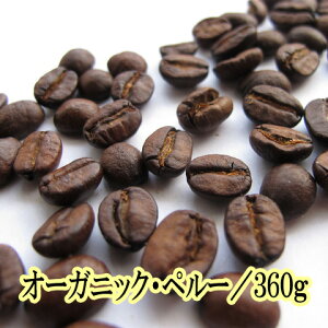 R[q[  tFAg[h L@͔|y[E^[jExjJ 360g Zbg E\tghN R[q[ M[R[q[ uh@yV  