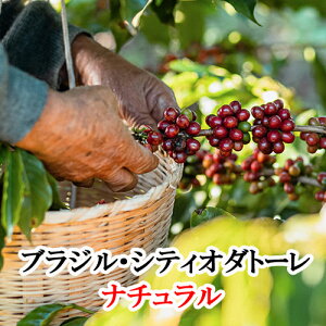 XyVeBR[q[EuWEVeBI_g[E}CNbgEi`