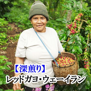 XyVeBR[q[Ey[zChlVAEA`FEbhKEEF[C