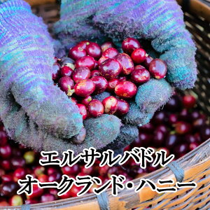 XyVeBR[q[EGTohEI[Nh_EH3Enj[vZX