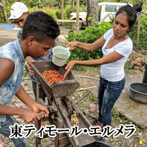 XyVeBR[q[EtFAg[hEeB[EACEEG