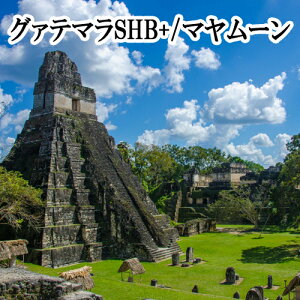 XyVeBR[q[ O@e}SHBE}[