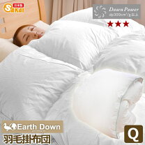 楽天市場】クイーンサイズ（掛け布団｜寝具）：インテリア・寝具・収納 