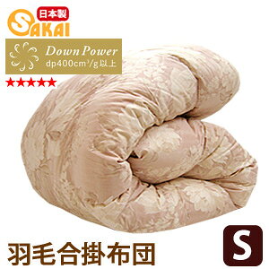 ͂܂zCg_E93Hэ|zcVOTCYitEHE~pj ss2509y{Hѕzc|zczcVO~pHъ|zcԂƂ񂩂ӂƂzfs04gm