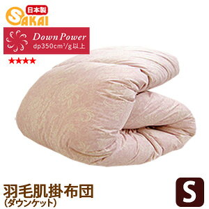 ͂܂Hє|zc_EPbgVOTCYzCg_Egp ss251250y{Hѕzc|zczcQVOTCYԂƂ񂩂ӂƂzfs04gm