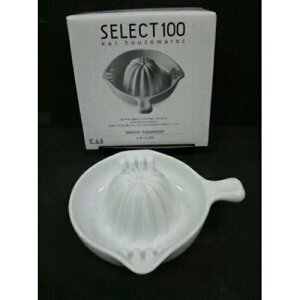 LZNg100DH3018 ڂ JAN:4901601413526