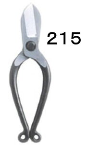 P D-55H #215|  t[AWg ԉ ~ bonsai ڂ񂳂 nT~ ͂ v 