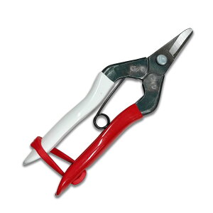 P̉  #301 ΂ oT~ ͂  nT~ |