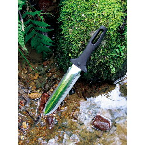 xcn m NO.801 RS }J^iS JAN:4986956008016 AEghA W[iCt