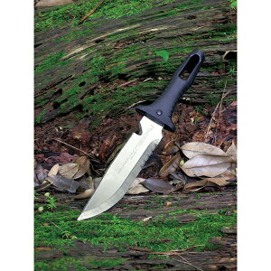 xcn m NO.811 S NJ^iS JAN:4986956008115 AEghA W[iCt