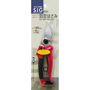 OCPSIGG025  180mm #108125 JAN:4954458281251͂ nT~  ΂ oT~  nT~ ͂ |  d 
