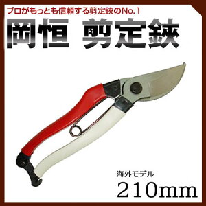 P 210 BP #104B1 虒͂ nT~  ΂ oT~  nT~ ͂ |  d 