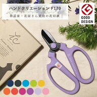 花はさみ 坂源 ハンドクリエーション F170 黒刃 フッ素樹脂加工 化粧箱入りギフト プレゼント フラワーア…