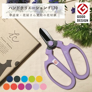 Ԃ͂ ⌹ nhNG[V F170 n tbfH ϔMtg v[g t[AWg   K[fjO ؂