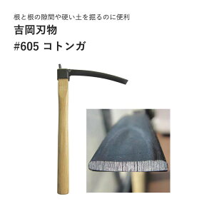 gn #605 RgK