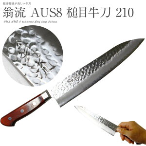   210mm Ɩ 炵dグ xXgNbhSS #241412 JV{t 3_ AUS8  \    KNIFE