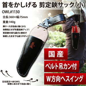 #1130  v TbN() ݃Jt JAN:4941019059961 ͂ nT~  ΂ oT~  nT~ ͂ |  d 