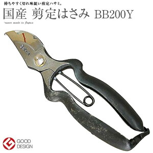 @ƏGvT-21 {Ep 200mm BB200Y Y { ObhfUCܕi YCS3 264g ORn ͂ {E g₷ ֗ i Cbs NHK 