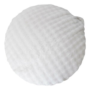 ӂƂr[YNbV\t@ Foureit[j CN-1350 NbV ֎q \t@ xbh rOƋ rO`FA V z {쏊 NbV ֎q \t@ xbh rO